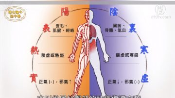 談古論今話中醫：妥瑞氏症看中醫有解