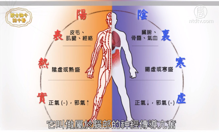 談古論今話中醫：妥瑞氏症看中醫有解