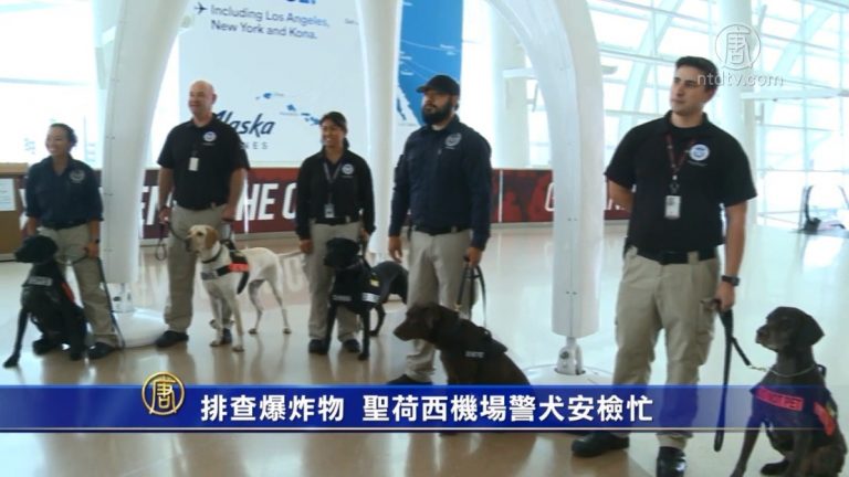 排查爆炸物 聖荷西機場警犬安檢忙