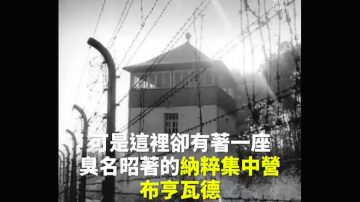 追查国际影片：《相信这无法相信的事》