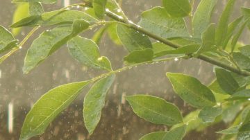 佛家故事：僧人子朗祈雨