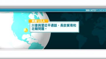 11月1日国际新闻简讯