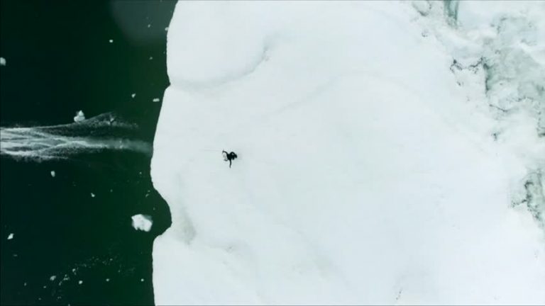 滑水高手挑戰北極圈 冰山冷水間展身手