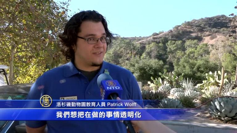 90分鐘揭密保育 洛城動物園寓教於樂