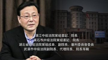 湖北武漢中級法院院長王晨被雙開