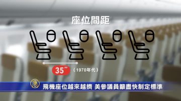 飛機座位越來越擠 美參議員籲盡快制定標準