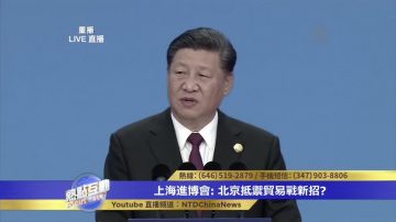 中共进博会被认为是政治活动 为何政冷经热？