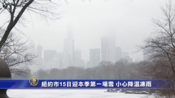 纽约市15日迎本季第一场雪 小心降温冻雨