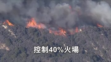 北加州野火死者增至66人 630多人失踪