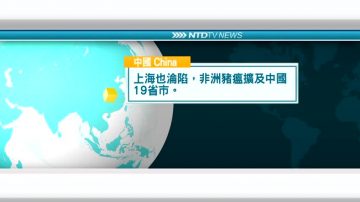 11月18日國際新聞簡訊