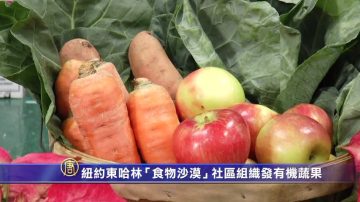 紐約東哈林「食物沙漠」社區組織發有機蔬果