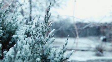 感恩节周末大降温 阖家团圆时注意保暖