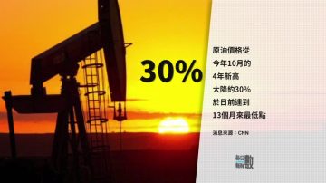 11月21日每日新鮮數