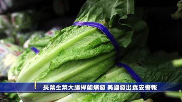 长叶生菜大肠杆菌爆发 美国发出食安警报