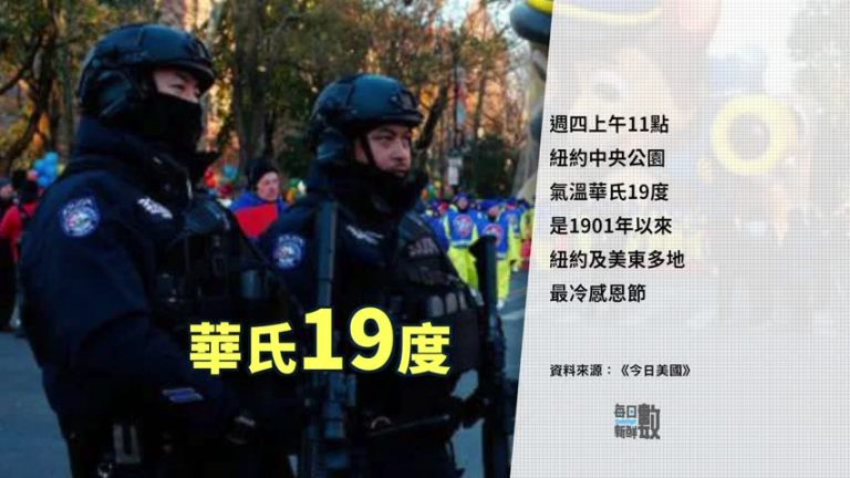 11月12日每日新鮮數