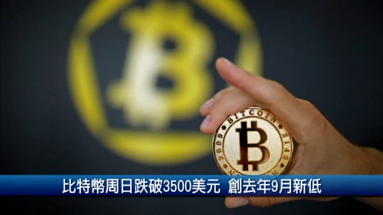 美關稅加速出貨？郭董稱業績旺到明年1月