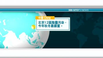 11月26日國際新聞簡訊