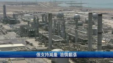 台航空業攻電商 華航自創平台擴張客群