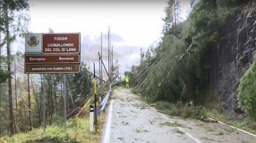 暴风雨席卷意大利酿17死 数千公顷森林遭破坏