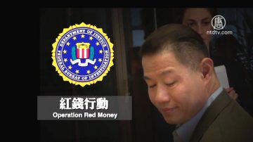 普选在即 刘醇逸自曝被FBI“红钱行动”调查