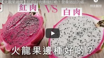 火龙果红肉白肉哪种更好？营养师：防癌要吃这种（视频）