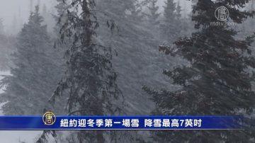 紐約迎冬季第一場雪 降雪最高7英吋 部分地區暴雨