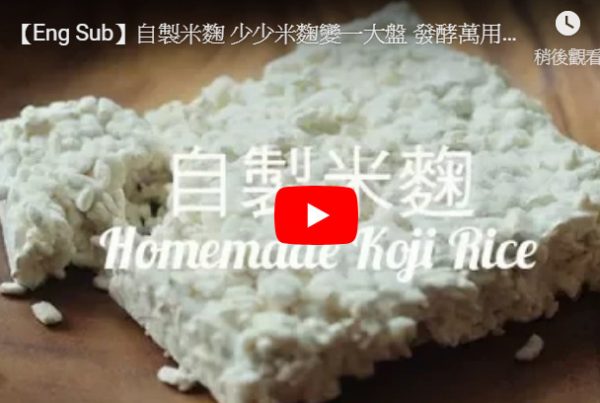 自制米麹 发酵万用调味料（视频）