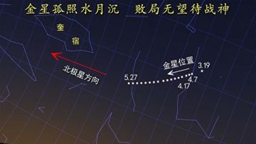 逆天而为痛悔迟53：1942——神迹频见仁安羌，长阪雄风再辉煌（下）