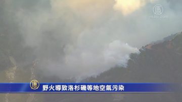 野火导致洛杉矶等地空气污染