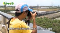 美丽心台湾：环境保护追踪者-萧禾秦