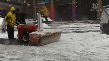 紐約首場冬雪 市府措手不及挨批 巴士停擺樹倒塌