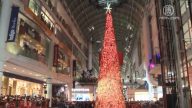 多伦多伊顿中心点亮108英尺圣诞树