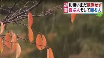 北海道札幌今晨终下雪了 平128年来纪录