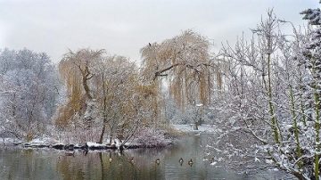 小雪节气天愈寒  酿酒腌肉备新年