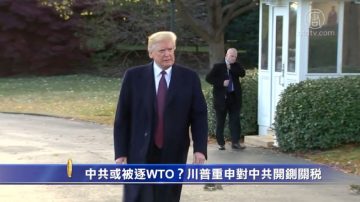 中共可能被逐WTO？川普重申對中共開鍘關稅