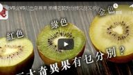 三大奇异果：绿色、金色和红色 营养有何分别（视频）