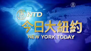 【今日大纽约】11月24日完整版