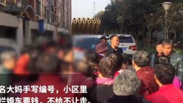 河南大媽組團攔婚車：千元起步，不給不讓走（視頻）