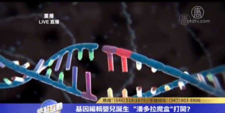 缺乏倫理道德的基因編輯項目 背後是誰在支撐和審批？