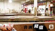 非洲猪瘟波及深圳 市场暂停供肉 网传市民排队疯抢