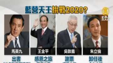 放眼2020 国民党马吴朱王暗中布局