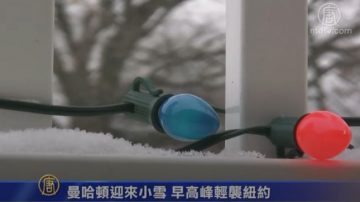 曼哈頓迎來小雪 早高峰輕襲紐約