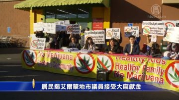 居民揭艾尔蒙地市议员接受大麻献金