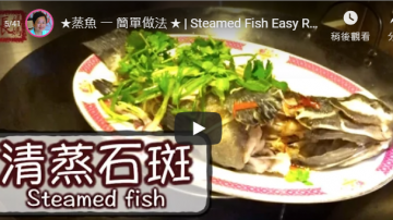 清蒸魚 魚肉鮮嫩美味(視頻)