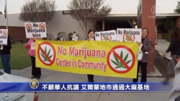 不顾华人抗议 艾尔蒙地市通过大麻基地