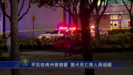 平安夜佛州传枪响 警犬死亡无人员遇难