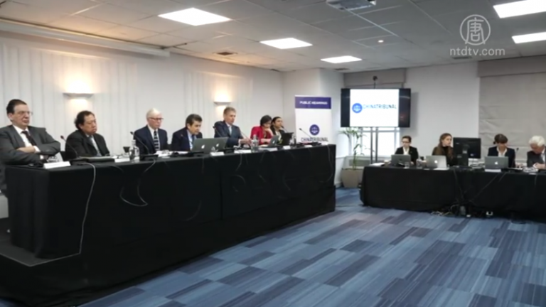 英國舉辦活摘器官聽證會 推動罪行審判