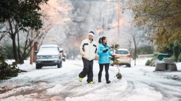 暴風雪襲美國南方 迷人雪景成交通大患