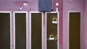 法国斯特拉斯堡恐袭案 嫌犯已被击毙