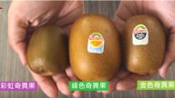 营养师：奇异果效用有分别 这种人要避免食用（视频）